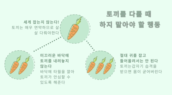 “귀 잡지 마세요” 반려토끼 어떻게 안아야 할까?