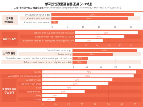 반려토끼 건강하게 해주는 5단계 관리 루틴