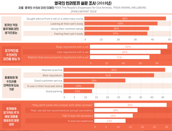 반려토끼 건강하게 해주는 5단계 관리 루틴