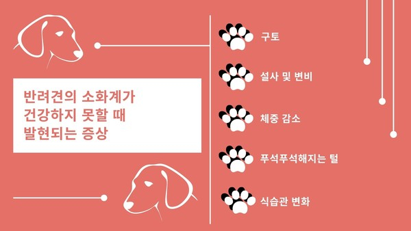 위장 건강, ‘식단 관리’와 ‘배변 활동 관찰’로 챙길 수 있다