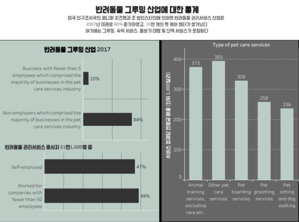 가끔 양치만 해주나요? 반려동물 ‘그루밍’ 선택 아닌 필수