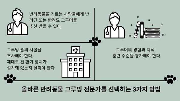 가끔 양치만 해주나요? 반려동물 ‘그루밍’ 선택 아닌 필수
