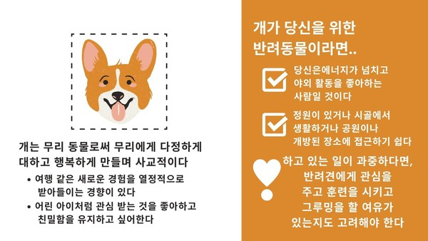사교적인 강아지VS.독립적인 고양이? 내게 딱 맞는 반려동물은?