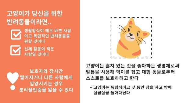 사교적인 강아지VS.독립적인 고양이? 내게 딱 맞는 반려동물은?