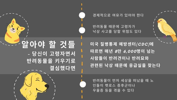 “외로워서 키우기엔 고려할 것 많아” 고령자 특히 신중해야