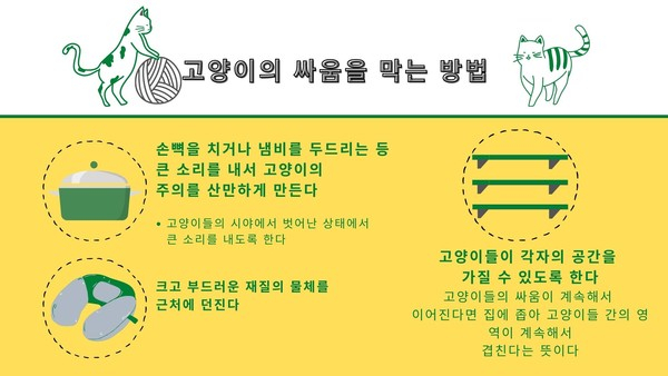 다묘가정서 발생하는 고양이들 싸움, 원인과 중재 방법은?