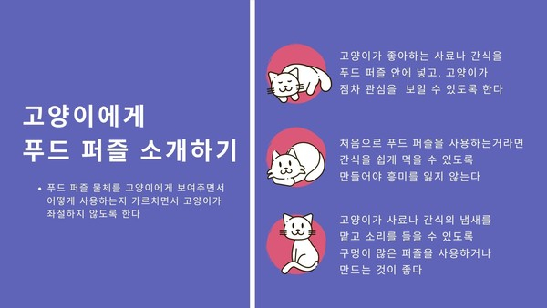 먹이 사냥 놀이, 반려묘의 사냥 본능 일깨워