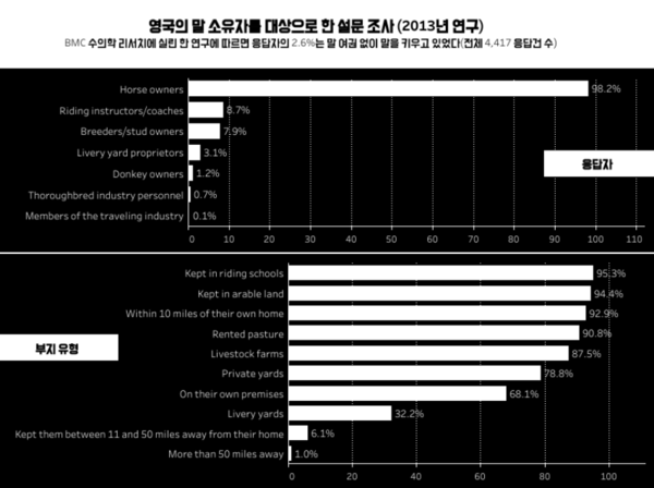 “책임감 및 고비용 감당해야” 말 키우기 전 알아야 할 돌보는 법