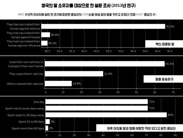 “책임감 및 고비용 감당해야” 말 키우기 전 알아야 할 돌보는 법