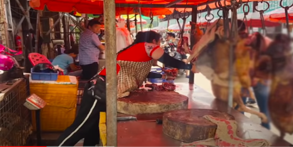 지난 6월 중국에서 열렸던 축제(사진=SKY NEWS 유튜브 캡처)