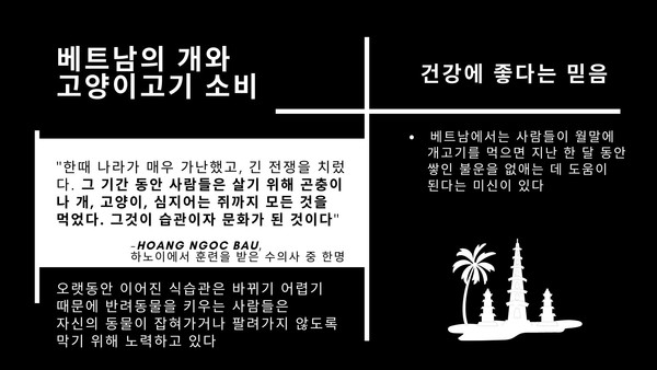 “잔인 VS. 식문화일 뿐” 중국‧베트남에서도 개‧고양이 식용 논란