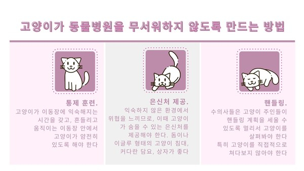 동물병원 무서워하는 냥이…스트레스 줄일 방법 없을까?