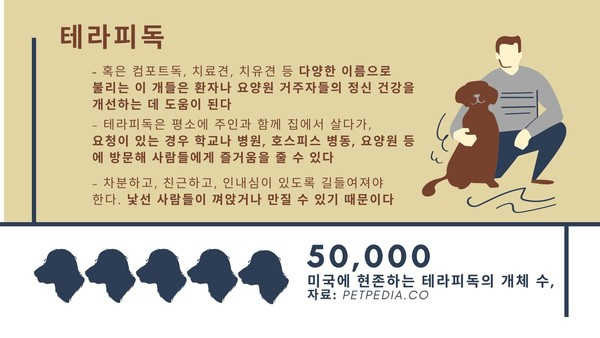 정서적 치유 돕는 테라피독, 가장 필요한 자질은? “인내심”