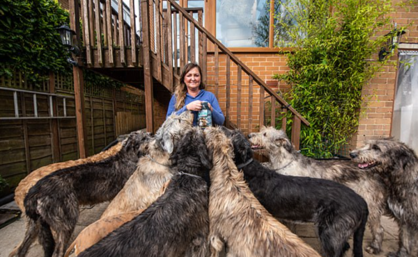 (사진=James Speakman/caters news agency)