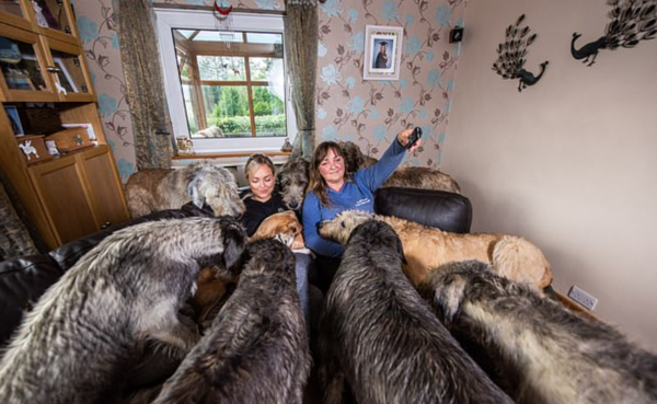 (사진=James Speakman/caters news agency)