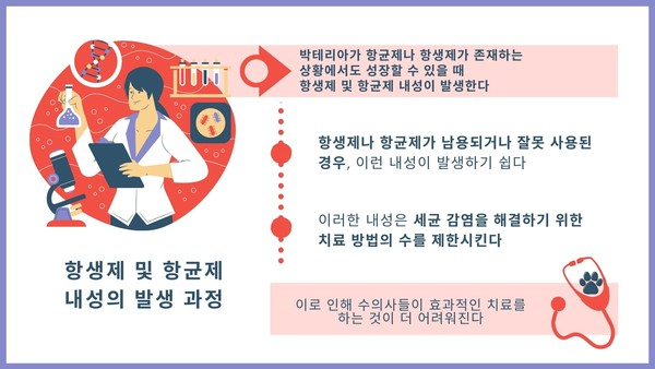 ‘슈퍼버그’ 항생제 내성, 수의학에서도 중요한 문제