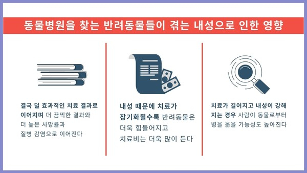 ‘슈퍼버그’ 항생제 내성, 수의학에서도 중요한 문제