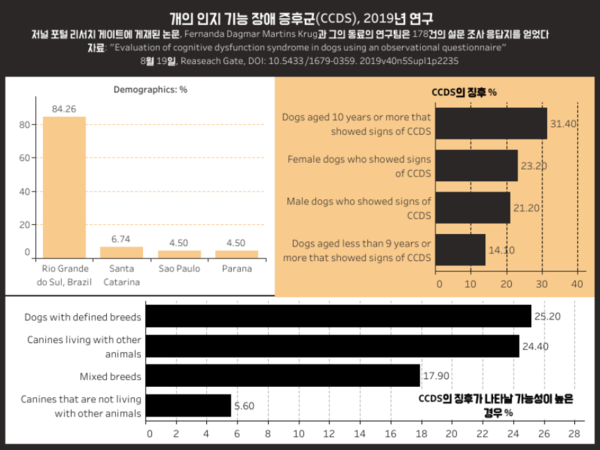 익숙한 곳에서도 길 잃는 반려견, ‘인지기능 장애’ 의심해야
