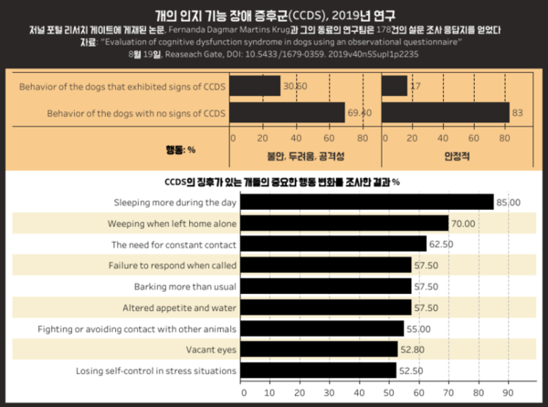 익숙한 곳에서도 길 잃는 반려견, ‘인지기능 장애’ 의심해야