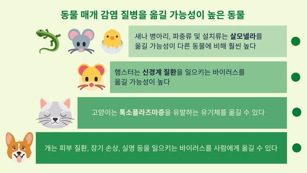 동물 매개 감염 질병, 개‧고양이‧햄스터도 원인될 수 있다?