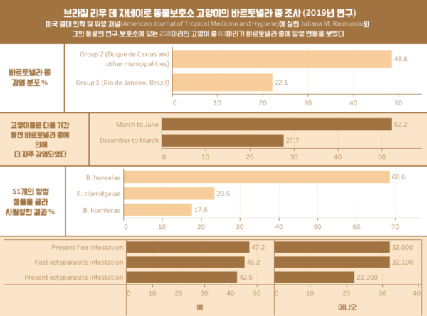 부종‧발열 나타나는 '고양이 할큄병' 사람에겐 합병증 치명적