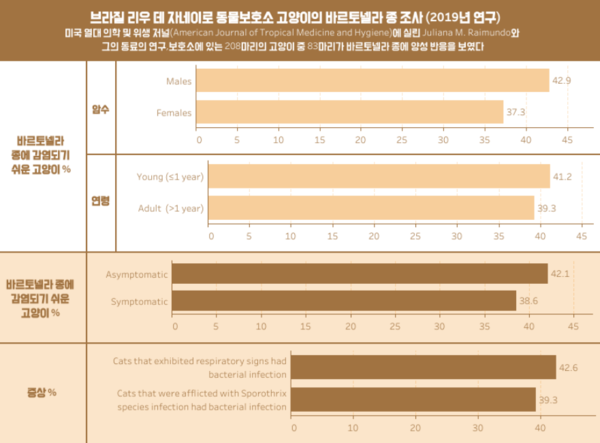 부종‧발열 나타나는 '고양이 할큄병' 사람에겐 합병증 치명적