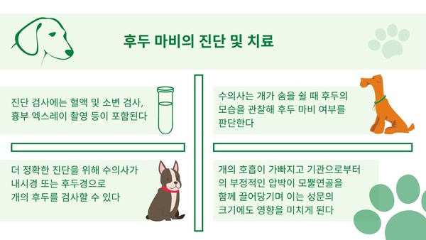 반려견 후두 마비, 식이장애‧호흡곤란으로 이어질 수 있어 위험