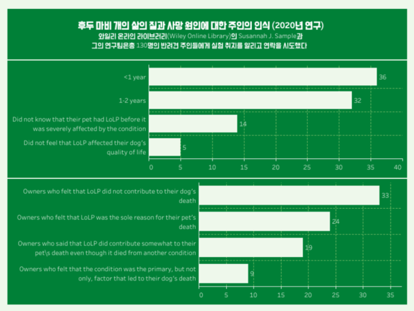 반려견 후두 마비, 식이장애‧호흡곤란으로 이어질 수 있어 위험