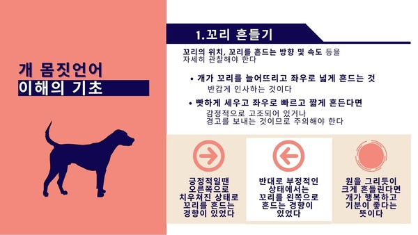 반려견과 유대감 높이려면 ‘몸짓언어’ 이해해야