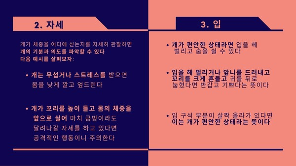 반려견과 유대감 높이려면 ‘몸짓언어’ 이해해야