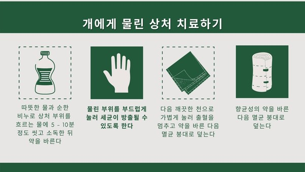 개에게 물렸다면? 최대한 빨리 처치하는 방법