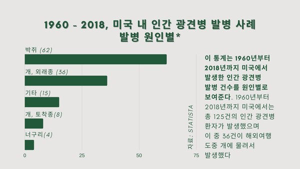 개에게 물렸다면? 최대한 빨리 처치하는 방법