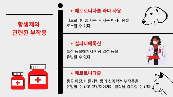 수의학에서도 필요한 ‘항생제’ 반려인이 알아야 할 부작용과 안전 팁