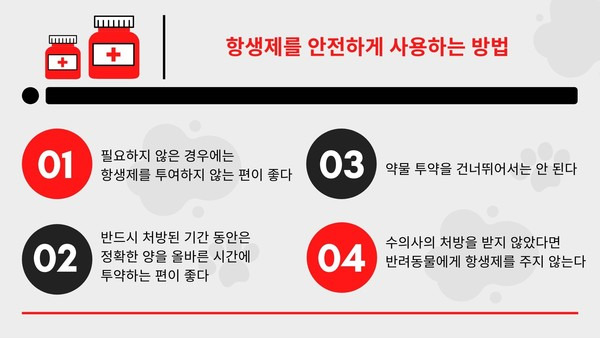 수의학에서도 필요한 ‘항생제’ 반려인이 알아야 할 부작용과 안전 팁