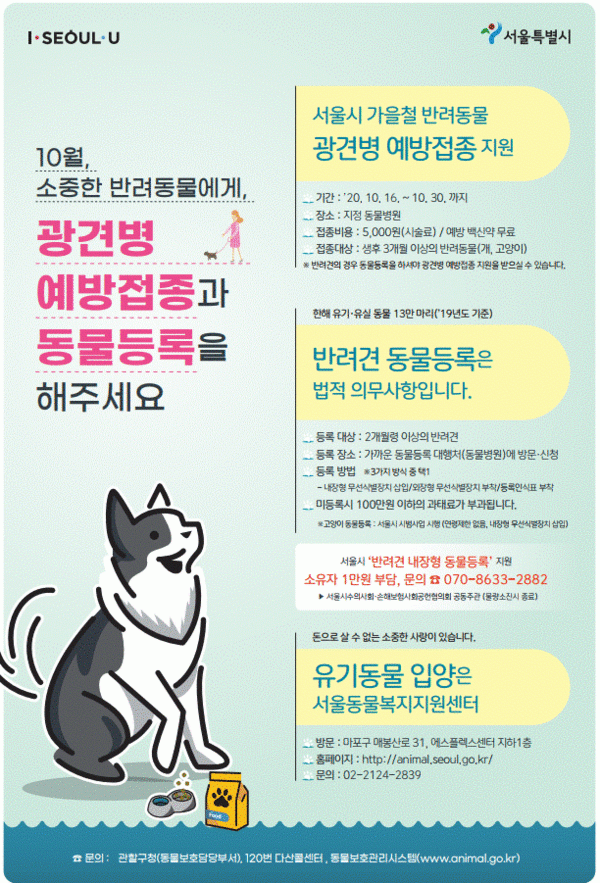 서울시, 가을맞이 반려동물 '광견병 예방접종' 지원 나서