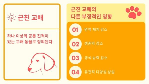 유전질환에 취약…심사숙고해야 할 품종견 입양 문제