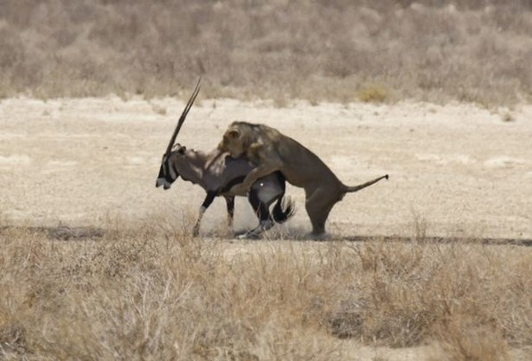 (출처=Kennedy News/Johan de Wet)