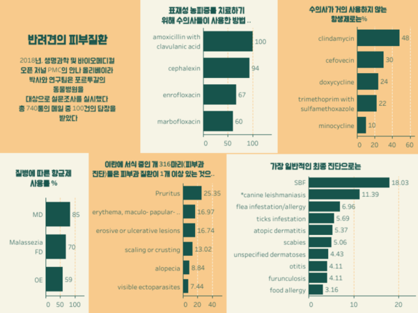 반려견도 건조하면 더 가렵다! 대표적인 피부질환 5가지