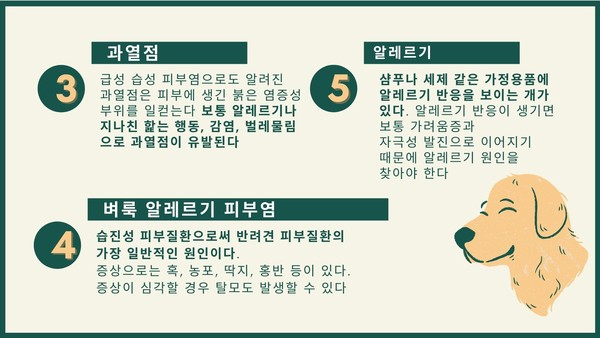 반려견도 건조하면 더 가렵다! 대표적인 피부질환 5가지