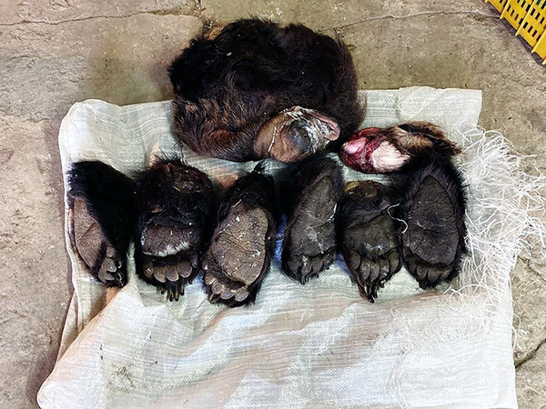 (사진출처=FSB Border Control)