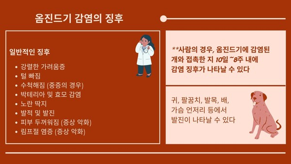 진드기 감염에 주의! 주인도 옮을 수 있는 ‘옴 피부병’이란?