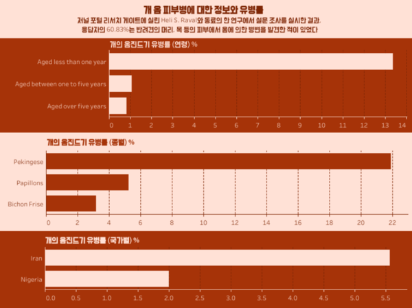 진드기 감염에 주의! 주인도 옮을 수 있는 ‘옴 피부병’이란?
