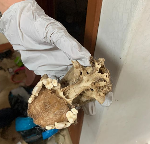 ▲ 집 안에서 발견된 개의 뼈 (사진출처='동물자유연대' 인스타그램) 