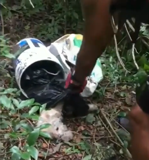 ▲ 자전거에 장착 된 카메라로 촬영된 브루노 구조 모습 (사진출처=Newsflash/Dailystar)