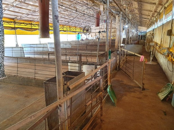 강화군은 ASF 살처분농가에 생계안정비용을 추가 지급했다 (사진출처=인천광역시 강화군청 홈페이지)