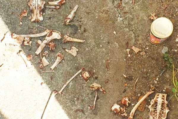 (사진출처=instagram)