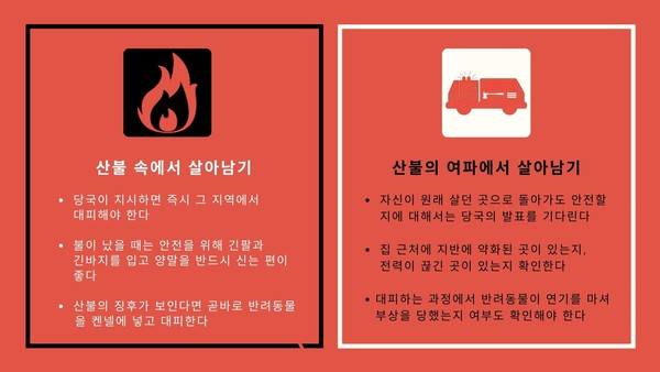 美 산불에 동물도 대피행렬...산불 대비 계획 미리 세워둬야