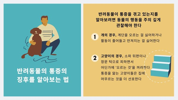 통증 감추는 반려동물들...통증 알아보는 ‘징후’ 있다