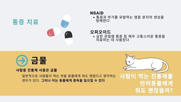 통증 감추는 반려동물들...통증 알아보는 ‘징후’ 있다