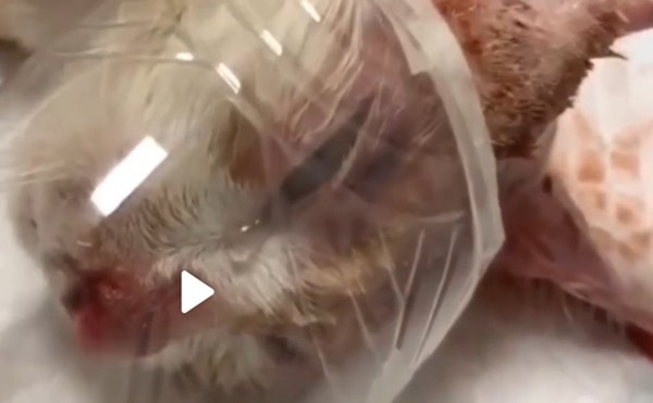 (사진출처=중국 매체 CCTV news)